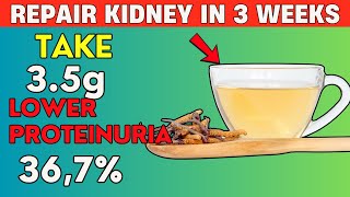 Doctor Reveals How To Lower Proteinuria by 367 Naturally and Avoid Kidney Dialysis  PureNutrition [upl. by Reklaw]