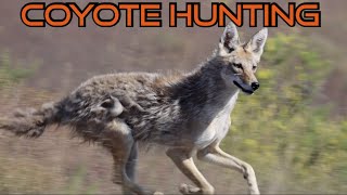 Family Coyote Hunting  Summer 2024  Episode 1 [upl. by Raybourne519]