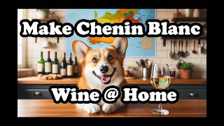 Recipe Make Chenin Blanc Wine [upl. by Bernadette187]