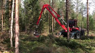 Nisula N5  new 6wheel thinning harvester No1 at soft soil [upl. by Ennaj466]