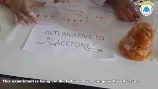 alternative to acetone  chemistry project [upl. by Egedan]