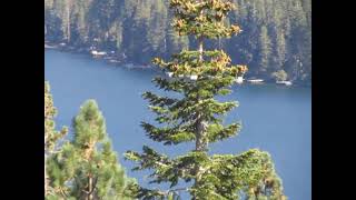 At the Donner Lake Vista Point on September 24th 2024 [upl. by Garda693]