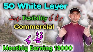 Feasibility for 50 Layer hens  Layer poultry farming in Pakistan [upl. by Jessee544]