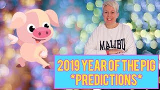 The year of the PIG 2019 Chinese animal horoscope for the year 2019 [upl. by Sedinoel]