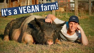 NOT YOUR AVERAGE TEXAS RANCH  Its a VEGAN Farm [upl. by Dore934]