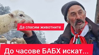 ИЗВЪНРЕДНО ОТ БАБХ ИСКАТ ВЪВ ВЕЛИНГРАД ВСИЧКО ДА ПРИКЛЮЧИ СЪС ЖИВОТНИТЕ ДО ЧАСОВЕ [upl. by Noryb938]