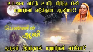 உடலை விட்டு உயிர் பிரிந்த பின் ஆன்மா எப்பொழுது மீண்டும் பிறப்பு எடுக்கும்  LIFE AFTER DEATH [upl. by Oicatsana]