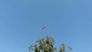 ATR72 flying over DeBretts to Taupo Airport [upl. by Ettennej]