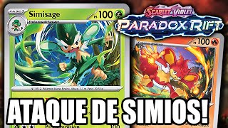 SIMISAGE SIMISEAR y SIMIPOUR son el mejor budget deck   PARADOX RIFT  POKEMON TCG LIVE [upl. by Adranoel]