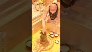 Lingashtakam  Lord Shiva Songs  Brahma Murari Surarchita Lingam shiv harharmahadev shorts [upl. by Zephaniah]