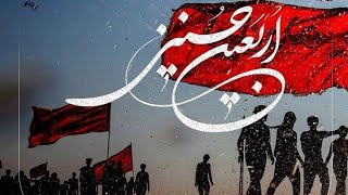 Live Manzar Najaf Asraf Arbaeen walkعراقی خدمت گزارkarbala najaf arbaeen minsazahrakarbali [upl. by Hillard]