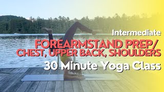 30 Minute Yoga Class  Forearmstand Prep  Chest Upper Back Shoulders [upl. by Asilav]