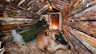 Building Warm Bushcraft Survival Shelter in Wildlife Fireplace Campfire Cooking ASMR DIY [upl. by Retha]