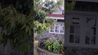 5 bedroom stone villa  kodaikanal stay [upl. by Risan]