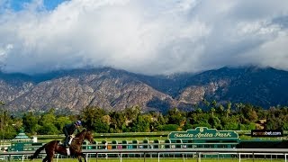 2013 Breeders Cup Dazzling On and Off the Track [upl. by Monro]