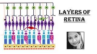 Layers of Retina  Simplified Lecture  Ophthalmology [upl. by Labotsirc]