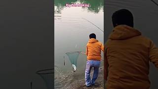 Big fish hooking 🎣md007 bollywood shorts youtubeshorts shortvideo viralvideo fish youtube [upl. by Rehpinnej622]