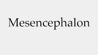 How to Pronounce Mesencephalon [upl. by Foley827]