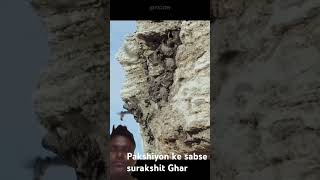 Pakshiyon ke sabse surakshit Ghar🐦😄 like share subscribe comment😀👍 [upl. by Nyllek]