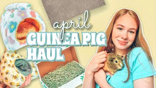 MONTHLY GUINEA PIG HAUL  APRIL 21 [upl. by Aissenav]