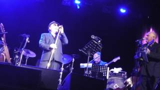 VAN MORRISON AND HIS BAND PERFORM  BY HIS GRACE [upl. by Forrest]