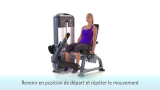 Leg Extension Precor Discovery [upl. by Lewiss]