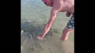 TeneriffaKanarische Inseln fischen im Meer Tenerife Canary Islands fish in the ocean Канары [upl. by Merceer]