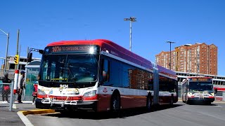 TTC Buses In Scarborough [upl. by Airetnahs]