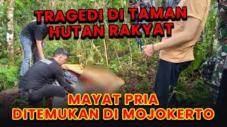 Trag3di di Taman Hutan Rakyat M4yat Pria Ditemukan di Mojokerto [upl. by Oicnevuj]