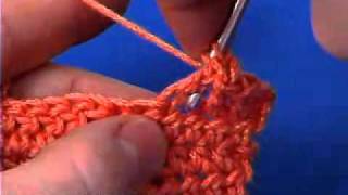 Back Cross Stitch Crochet Stitch Tutorial [upl. by Chu]