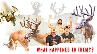 TOP 5 BUCKS THAT GOT AWAY 200quot SUBURBAN Whitetails Untold Stories [upl. by Hgiel446]