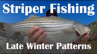 Striper Fishing on Lake Wateree in Late Winter  How to Catch Stripers  Striper Fishing Tips [upl. by Llenehc]