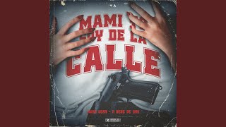 Mami Yo Soy de la Calle [upl. by Reeher]