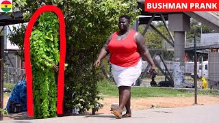 😂😂😂Hilarious Bushman Prank Best Of Kainos [upl. by Lidstone989]