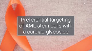 Repurposing cardiac glycosides for AML treatment ouabain preferentially targets leukemic stem c [upl. by Cecelia]