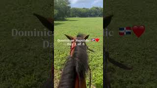 Day 3 ❤️🇩🇴 I galloped in a field 😋 [upl. by Osmund]