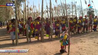 Imbali Maidens prepare to deliver the reed to Their Majesties at the Shiselweni regions Embangwen [upl. by Frederick457]