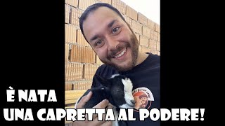 E Nata una Capretta al PODERE  Vediamola Insieme 🐐 [upl. by Leorsiy]