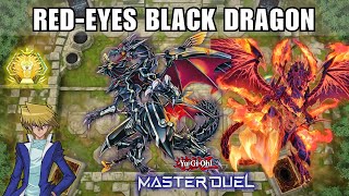 Best RedEyes Black Dragon Deck  Burning Everything  YuGiOh Master Duel [upl. by Christine]