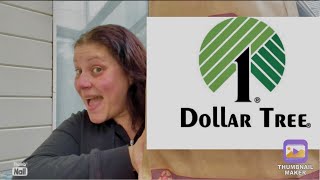 Dollar Tree Haul 🛍️ June 2 2024 [upl. by Pierson]