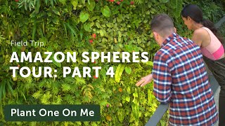 Amazon Spheres Tour Part 4 — Ep 154 [upl. by Tris35]