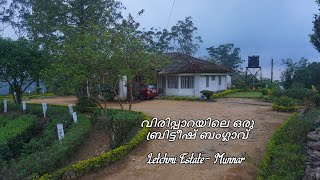 British Bungalow in Munnar  Munnar Tea Plantation Bungalow [upl. by Miguela]