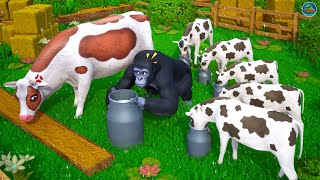 Gorillas Dairy Dilemma Cow Calfs Hilarious Milk Stealing Antics Funny Cows Comedy Cartoons [upl. by Eiggem]