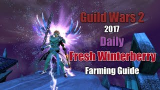 GW2 2019 Daily Gathering Fresh Winterberry Farming Route in Bitterfrost Frontier [upl. by Aruabea]