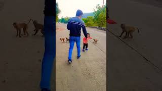 Anaya ka monkey aap sabko kaisa lagatrending cutebabyfunnyshorts youtubeshortsreel viralvideo [upl. by Sinylg]