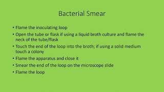 Bacterial Stain Preparation [upl. by Rocker929]