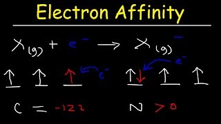 Electron Affinity Trend Basic Introduction Chemistry [upl. by Nashner635]