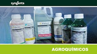 SYNGENTA DE VENTA EN AGROBOLDER [upl. by Lazarus]