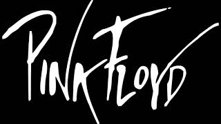 Pink Floyd  Live in Hannover 1970 Full Concert [upl. by Sofie]