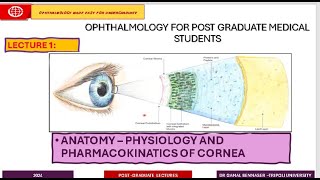 Infectious Keratitis STATE OF THE ART  1 Introduction To Cornea [upl. by Anauqes]